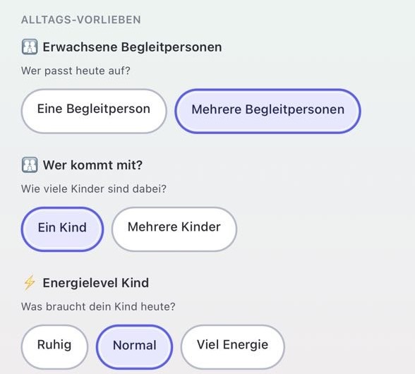 Vorabansicht der TagDieb Alltagseinstellungen für Begleitpersonen, Kinderanzahl und Energielevel.